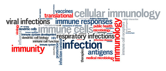 INDUSEM Translates Research to Care in Post Trauma Sepsis